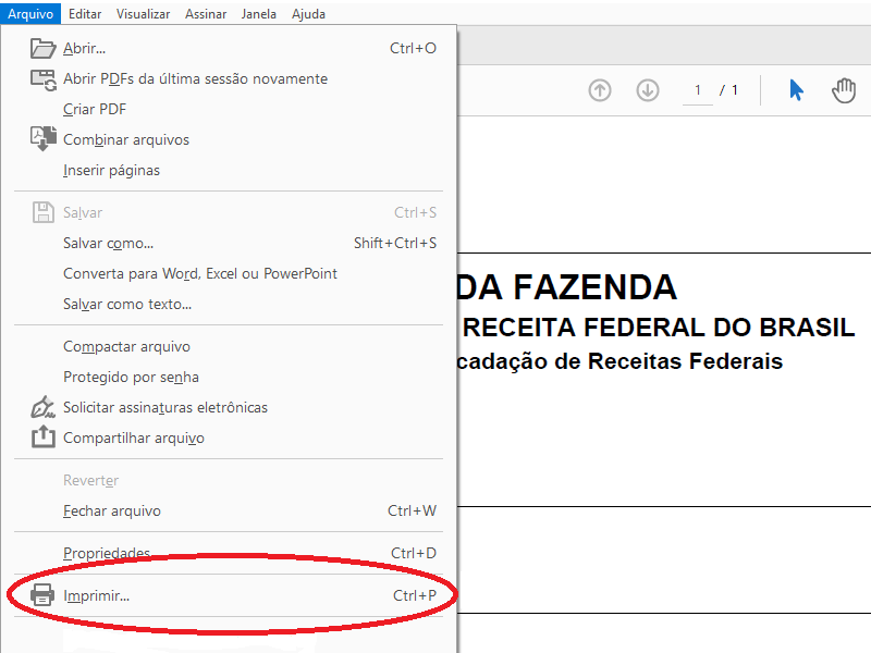 menu de impressão no visualizador de pdf